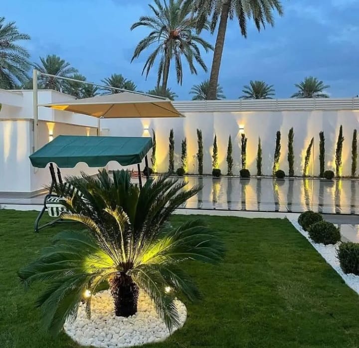 خدمات تنظيف حدائق بالرياض