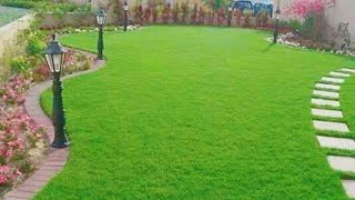 نجيل طبيعي بالرياض