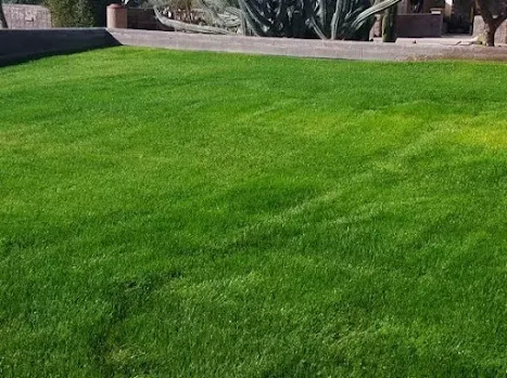 ثيل طبيعي بالرياض