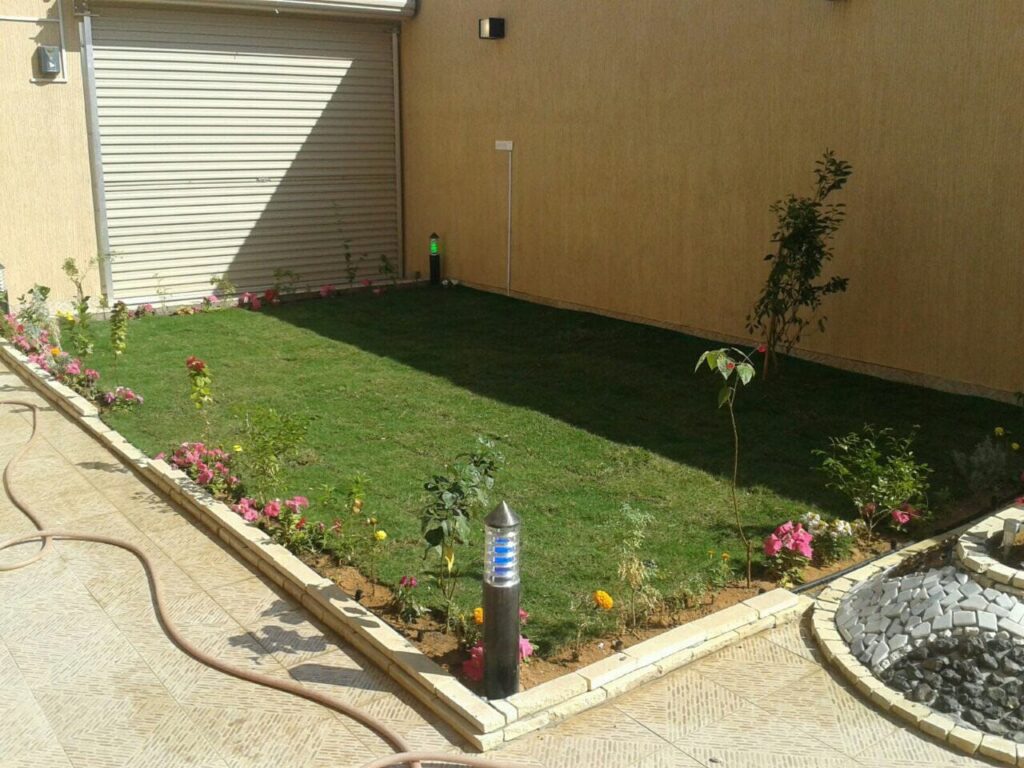 نجيل طبيعي بالرياض