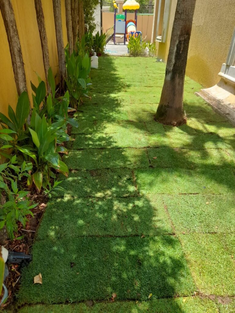 نجيل طبيعي بالرياض