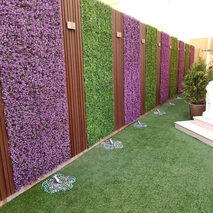 عشب طبيعي بالرياض