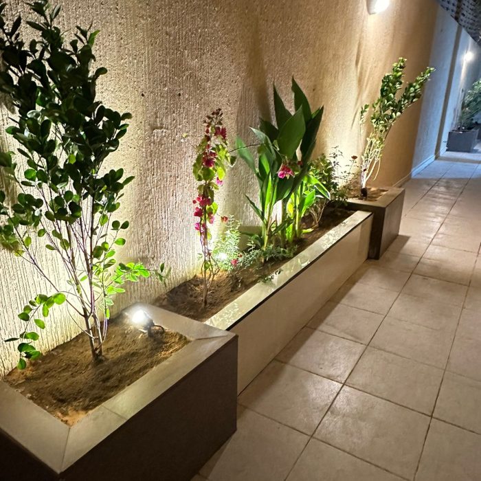 تنسيق حدائق الرياض (10)